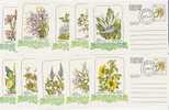 Venda-Flowers Set 10 Prepaid Postcards - Other & Unclassified