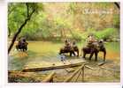 ELEPHANTS   CHIANGMAI   - Thaïlande  - N°  TC 611 - Elephants