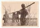 CONGO BELGE  LA CHASSE AUX FAUVES 1950 - Lettres & Documents