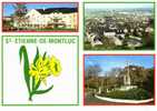 CPSM. SAINT ETIENNE DE MONTLUC. DATEE 1998. FLAME. - Saint Etienne De Montluc