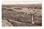 1956 Rudesheim A. Rhein  Mit Sesselbahn(2scans) - Ruedesheim A. Rh.