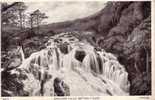 Swallow Falls Bettws-y-coed - Caernarvonshire