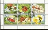 Sharjah 1972 Insects (o) - Schardscha