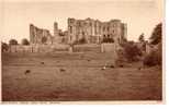 Kenilworth Castle From Echo Meadow - Sonstige & Ohne Zuordnung