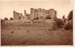 Kenilworth Castle From Echo Meadow - Other & Unclassified