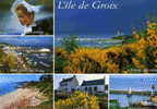 CPM  Ile De Groix - Groix