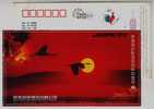 Crane Bird,the Setting Sun,China 2005 Wolong Holding Group Advertising Postal Stationery Card - Kranichvögel