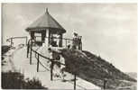 WENDUINE - WENDUYNE - Wandeling In De Duinen - Promenade Dans Les Dunes  (Y46) B6 - Wenduine