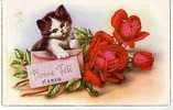 Animaux - Chats - Chat - Cats - Cat - Chatons - Fleurs - Roses - Illustrateur - RF8120 - Bonne Fête - Bon état Général - Katzen