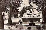 657. SETIF . LA FONTAINE. / CAP - Setif