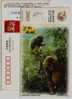 China 2003 Jiyuan Landscape Advertising Postal Stationery Card Wulong Hot Spring Wildlife Macaque Monkey - Apen