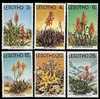 (008) Lesotho  Flowers / Fleurs / Pflanzen / Plants / Cacti / Succulents  ** / Mnh  Michel 221-27 - Lesotho (1966-...)