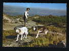 REAL PHOTO POSTCARD SERRA DA ESTRELA PASTOR DA SERRA PORTUGAL - Guarda