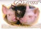 Trois Cochons -   BISOUS - Pigs