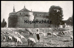 ÄLTERE POSTKARTE CASTILLO DE VILLAVICIOSA DE ODÓN Sheep Herde Hirte Schafe La Oveja Castle Cpa Postcard Ansichtskarte - Madrid