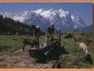 F622 Chèvres Et 2 Bergers,Ziegen,Goat,capre,geiten. Bassin, Wetterhorn. Cachet 1991 Vers Wald - Wald