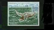 1989-Taaf-Immersioni-Yver T 146- Nuovo Senza Linguella - Unused Stamps