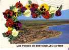 BRETIGNOLLES SUR MER -  Vue Encadrée De Pensées - N° 232 - Bretignolles Sur Mer