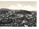 $$$ Basilicata MOLITERNO Potenza Panorama 1962 Viaggiata  - Formato 10x15 Cm Circa - Other & Unclassified