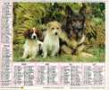 Almanach Du Facteur 1989 ( Berger Allemand Et Ses Copains) (chien Cairn Terrier) Editeur Jean Cartier Bresson No 331 - Formato Grande : 1981-90