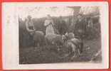 Photo-Carte - Humbeek - Elevage, En 1919. - Sonstige & Ohne Zuordnung