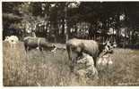 SAINT EFFLAM (22) Carte Photo Traite Des Vaches Superbe - Sonstige & Ohne Zuordnung