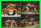 SPORT DE LUTTE - SUMO - 4 MULTIVUES - - Wrestling