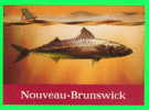 PUBLICITÉ - POISSON, MASQUEREAU - TOURISME NOUVEAU BRUNSWICK ,1998 - - Autres & Non Classés