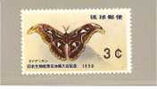 Jap (RKI 71).  -  RYUKYU ISL   - Schmetterling (butterfly, Mariposa) Thema Biologie 1959 ** MNH - Ryukyu Islands
