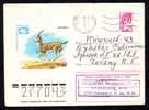 Chevreuil Russia Stationery Cover Roe Deer 1979 Russia. - Wild