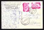 Agriculture X2 Stamp On Pc 1956 Romania. - Lettres & Documents