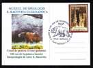 Bear Ours PMK ON POSTCARD 2007, ROMANIA. - Osos