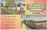 Meridian Mississippi, Triangle Tourists Cabins Lodging Motel, On 40s/50s Linen Postcard - Meridian