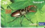 TARJETA DE SUIZA DE UN ESCARABAJO  (INSECTO-INSECT) WWF - Other & Unclassified