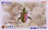 Télécarte Chine - INSECTE Scarabée - Beetle Phonecard INSECT - INSEKT - 66 - Other & Unclassified