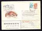 Russia 1980 Registred Cover Stationery  Animaux Rodents Rongeurs. - Knaagdieren