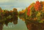 CANADA-ONTARIO L'AUTOMNE-MB - Modern Cards