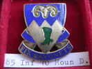 Crest Américain Du 85th Infantry 10th Mountain Division à épingle - US WWII Période 39-45 Voir Année 50 - Autres & Non Classés