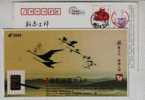 Swan Bird,brush Pen & Ink,China 2009 China Post New Year Greeting Advertising Pre-stamped Card - Cisnes