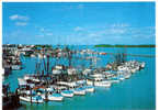 Key West - Shrimp And Fishing Boats - Format NON Normalisé 13 Cm X 18 Cm - Key West & The Keys