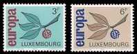 (007) Luxembourg  Europa 1965 / Früchte / Fruit / Vruchten   ** / Mnh  Michel 715-16 - Neufs