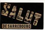 57270 SALUT SARREBOURG - Sarrebourg