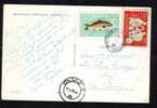 Fish And Wine Stamp  On PC 1963 - Romania. - Covers & Documents