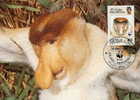 Brunei : CM Carte Maximum WWF Singe Primate Nasique Proboscis Monkey Nasenaff Nasalis Larvatus - Singes