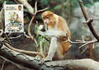 Brunei : CM Carte Maximum WWF Singe Primate Nasique Proboscis Monkey Nasenaff Nasalis Larvatus - Singes