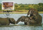 Ouganda : CM Carte Maximum WWF Loxodonta Africana Elephant Afrique Africain Afrikanische Elefanten - Elefanten