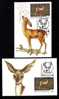 Chevreuil Roumanie , Roe Deer,2x Maximum Card MAXICARD 1993  Very Nice Oradea-Romania. - Wild