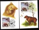 Bear Ours 1993, 2x  MAXICARD, Oradea-ROMANIA. - Osos