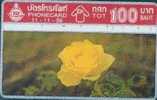 # THAILAND 11-11-36_2 Yellow Rose 100 Landis&gyr -flowers,fleurs-   Tres Bon Etat - Thaïlande