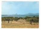 SPAIN, ESPAÑA. FORMENTERA 1967.Bahia De Cala Sabina.Baie De Cala Sabina.Au Fond,Ibiza Et Le Vedrá (2scans) - Formentera